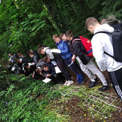 Fota Wildlife Visit