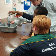 Science Week - Friday