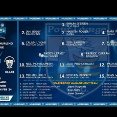 Waterford senior hurling