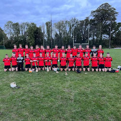 Senior hurling