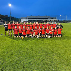 Senior Hurlers vs SETU