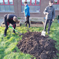 TY horticulture