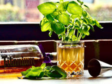 Mexican Tea