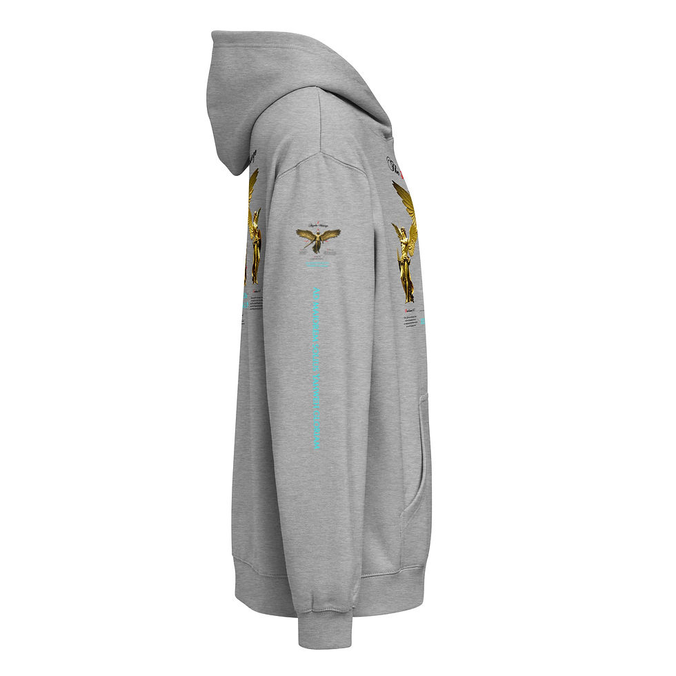 Thumbnail: The 3 Angels Message Hoodie