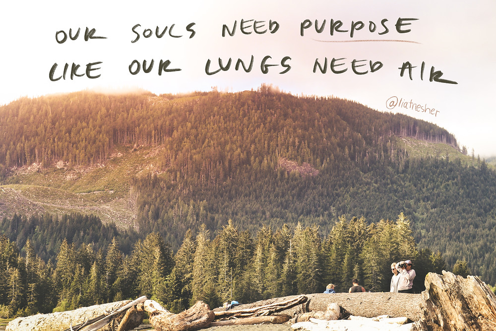 our souls need purpose like our lungs need air