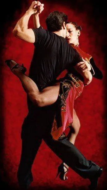 Cours Salsa Bachata Lyon Danse Flamenco Orientale Hiphop Theatre Dance