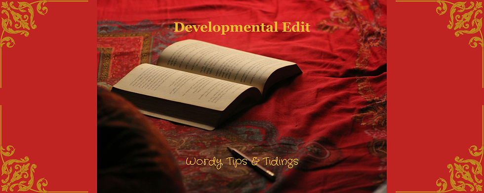 Developmental Edit
