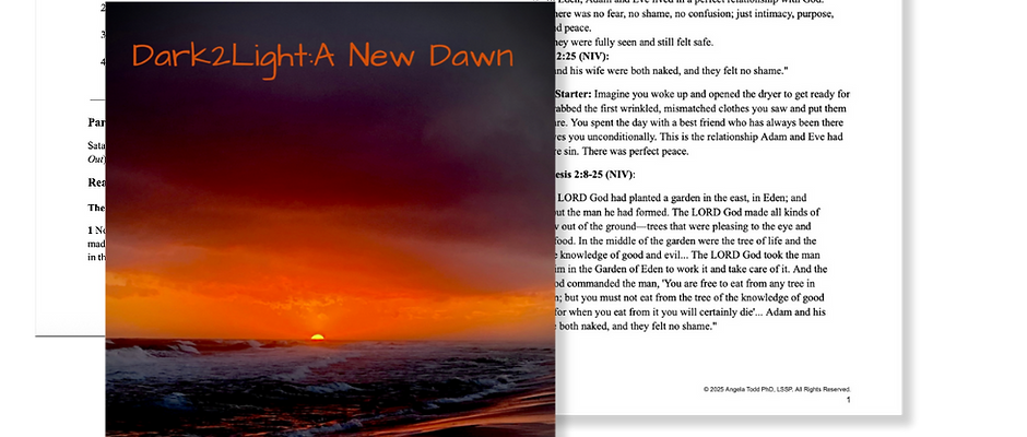 Dark2Light: A New Dawn – Navigating the Noise Through God’s Word Set