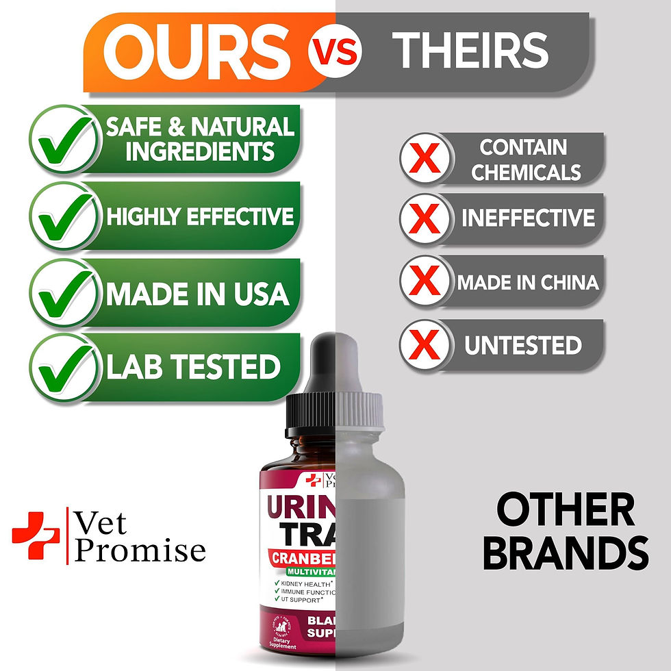Thumbnail: Natural Cranberry UTI Support for Cats Dogs Premium Kidney Bladder Health