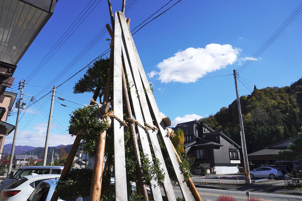 雪囲いはいつから始める? 山形で迷う方が多い、ちょうどいい時期の見極め方
