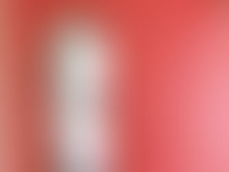 R（アール）はごまかせない。匠連建築がこだわり抜く、曲線が描く美しい家。