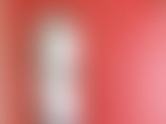 R(アール)はごまかせない。匠連建築がこだわり抜く、曲線が描く美しい家。