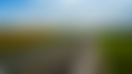 Purpose-Driven Strategy: Why Clarity Beats Complexity Every Time