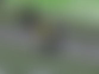 הפילוסופיה של ה VAR