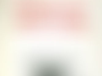 ההפיכה השיפוטית והרס הדמוקרטיה