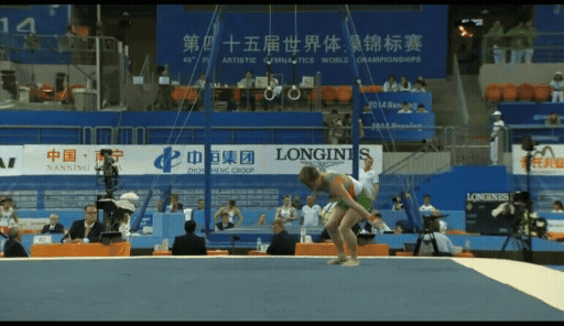 Kick to Fwd Roll-BEHAN.gif