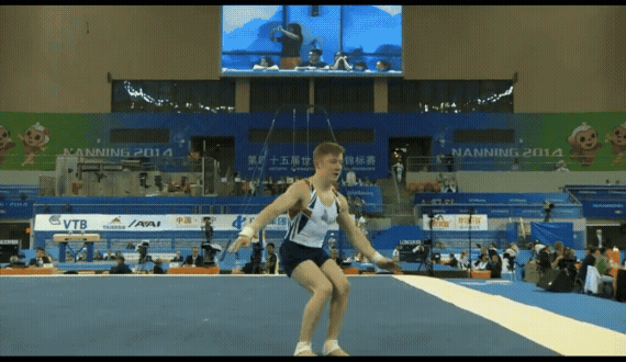 Stag Roundhouse WILSON.gif