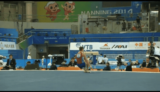 Cartwheel to SWE POLIASHOV-14.gif