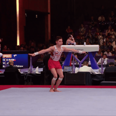 Netreba kick to Swed.gif