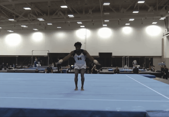 Stag Roundhouse Fred.gif