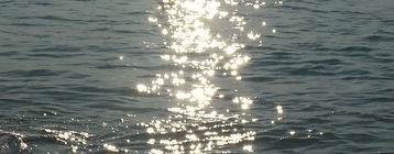Sea Sparkles
