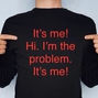 “It’s me. Hi. I’m the problem. It’s me.” The Agony and the Ecstasy of Accountability