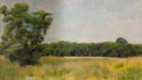 Caumsett State Park, NY oil on linen