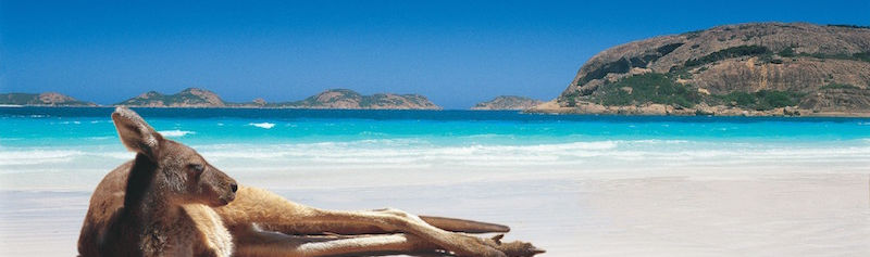 scents of australia