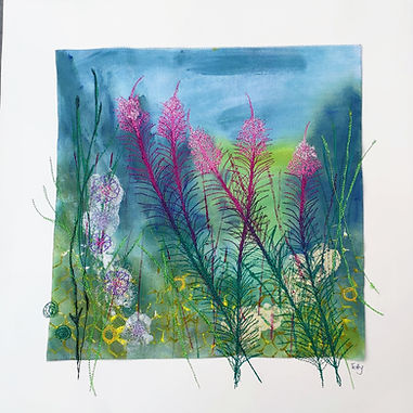 Rosebay Willow Herb