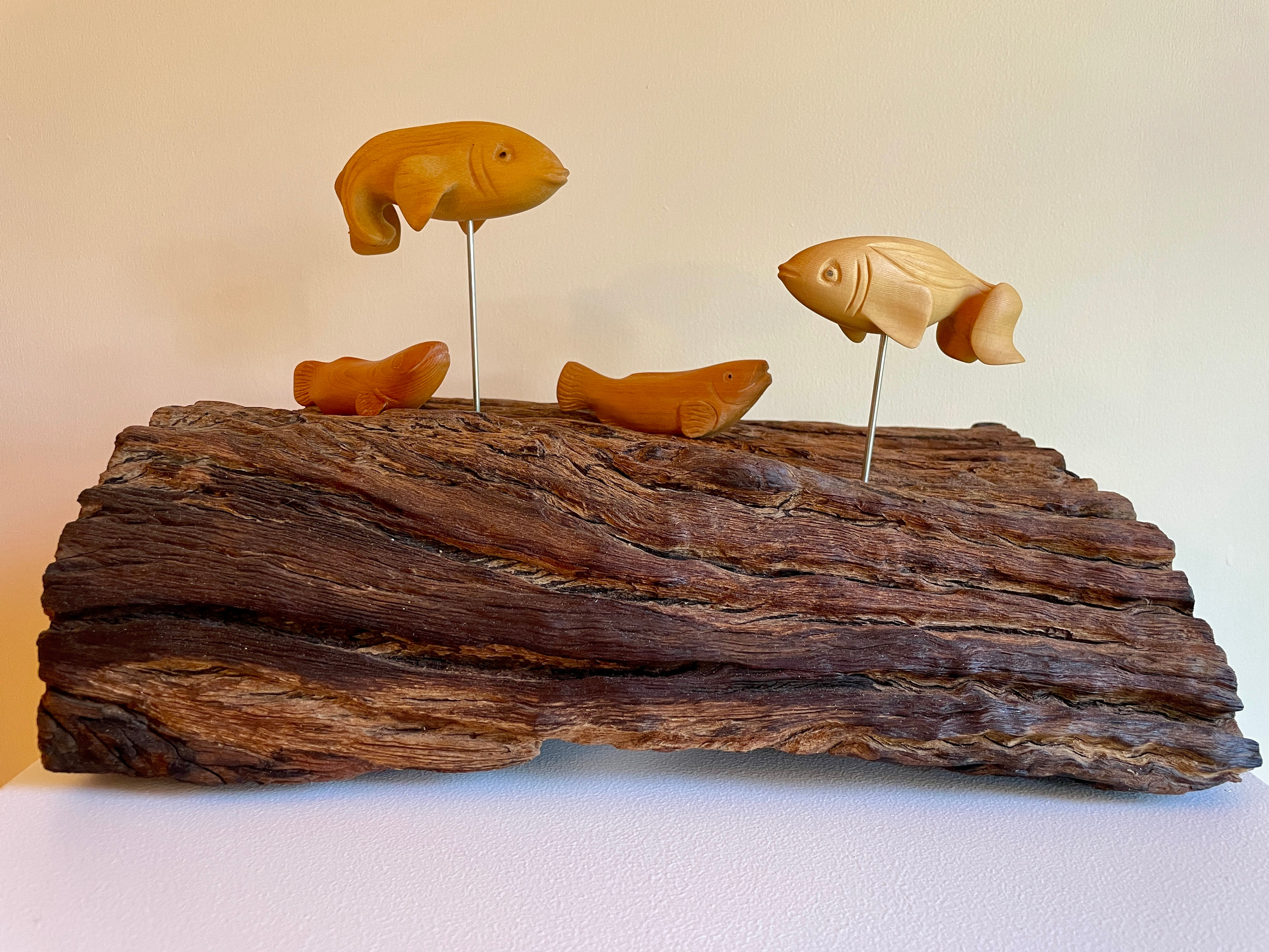 Riding the Redgum Rapids