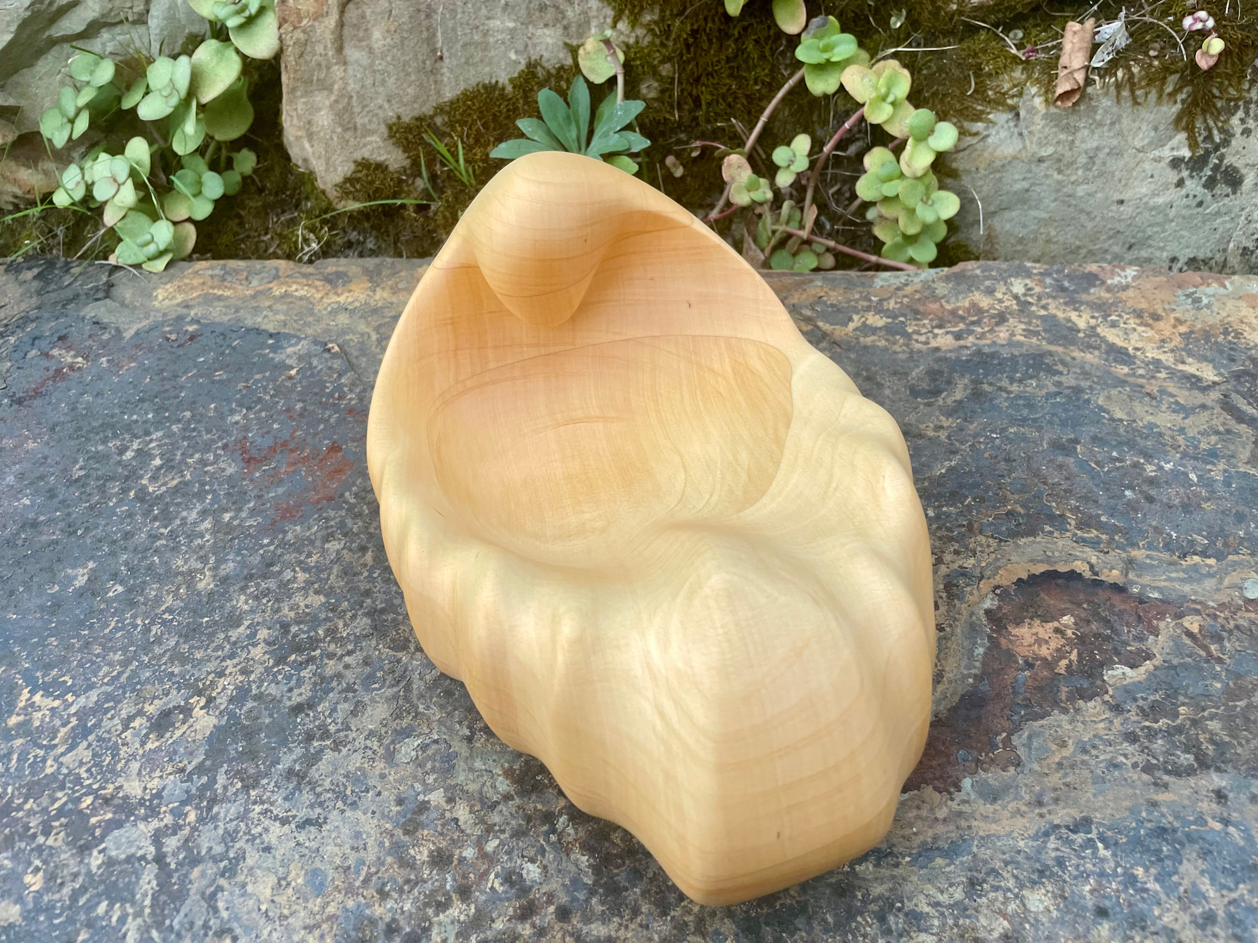 renewal-the flow of life