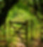 The gate3.jpg