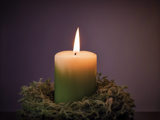 Finding Comfort and Hope: Professional Grief Counseling Services