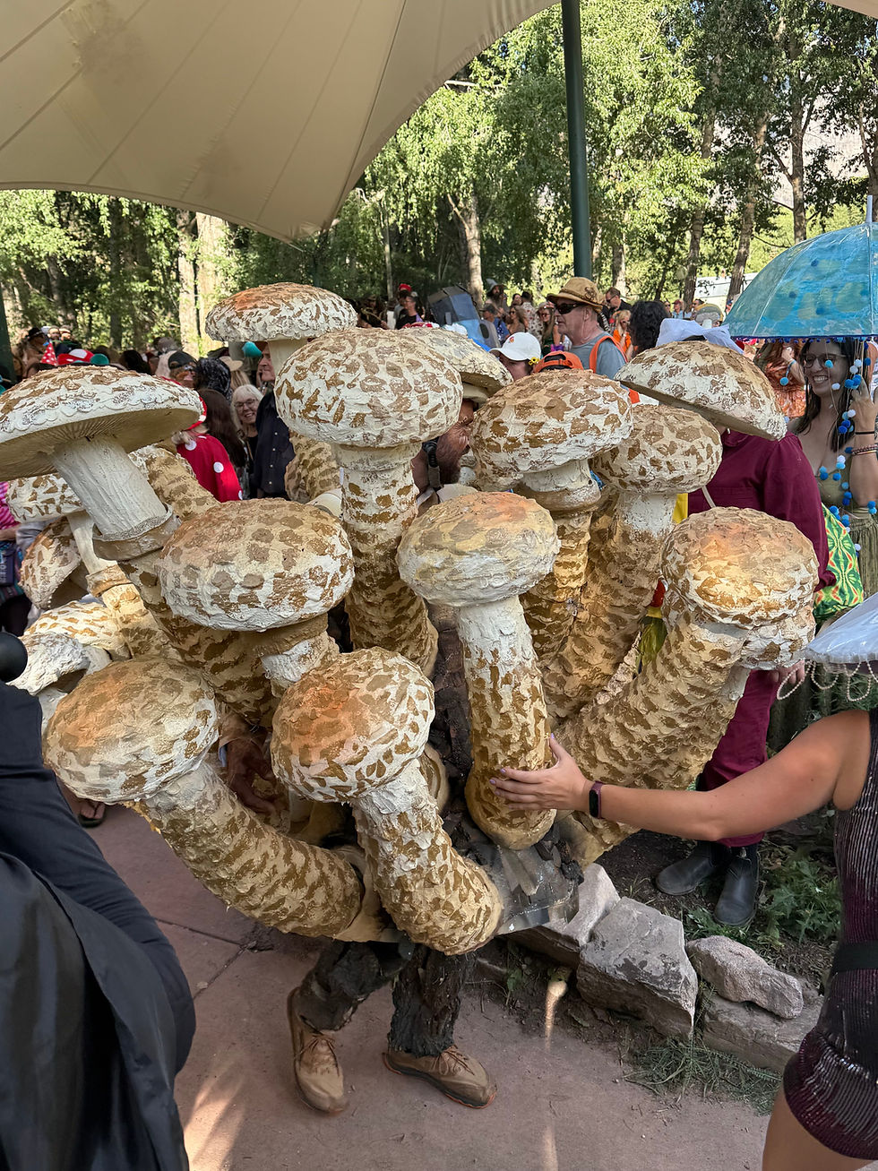 Best in show being escorted through the crowd.