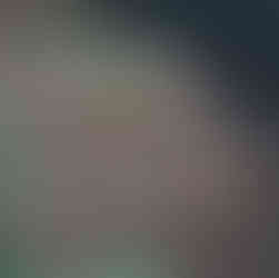 Amanita amerirubescens