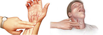 Frecuencia cardiaca