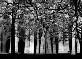 Graveyard Ghosts