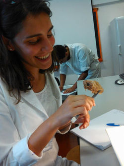 10342925_10202806037899759_5843151518670226196_n