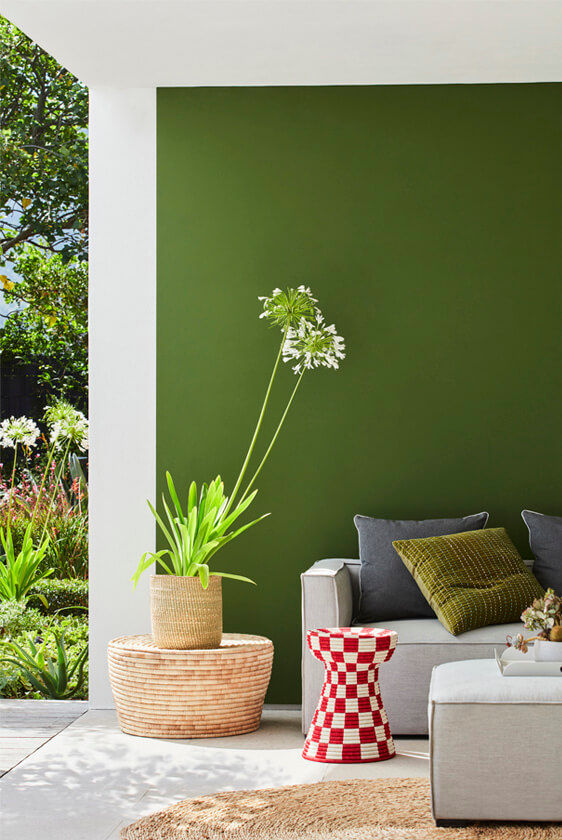 Миниатюра: Little Greene Jewel Beetle (303)