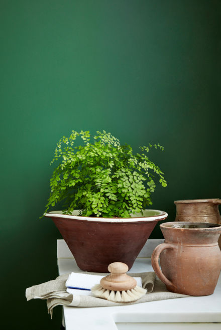Thumbnail: Little Greene Dark Brunswick Green (88)