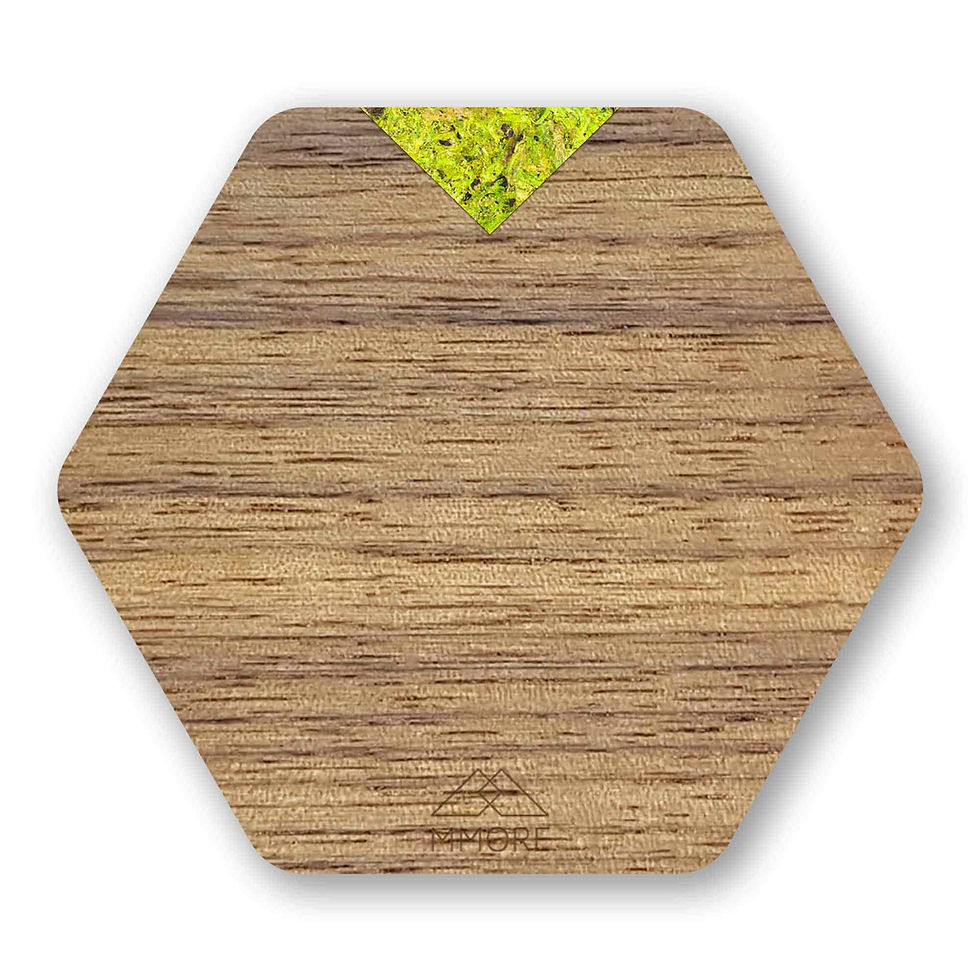 Miniaturbild: Wooden Coasters - American Walnut / Set of 4 Coasters