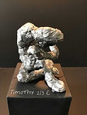 Timothy2C-02.jpg