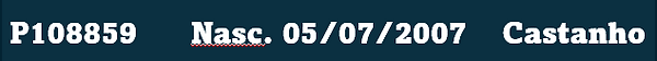 Captura de tela 2025-12-09 171608.png