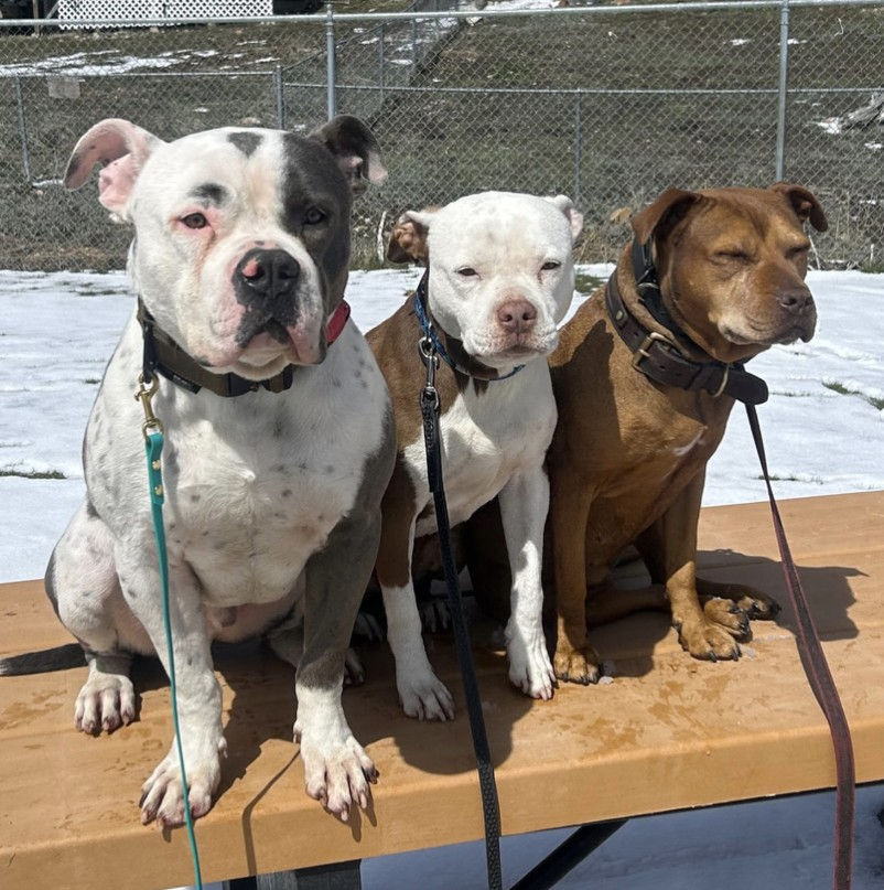 Screenshot 2025-11-18 204106.jpg