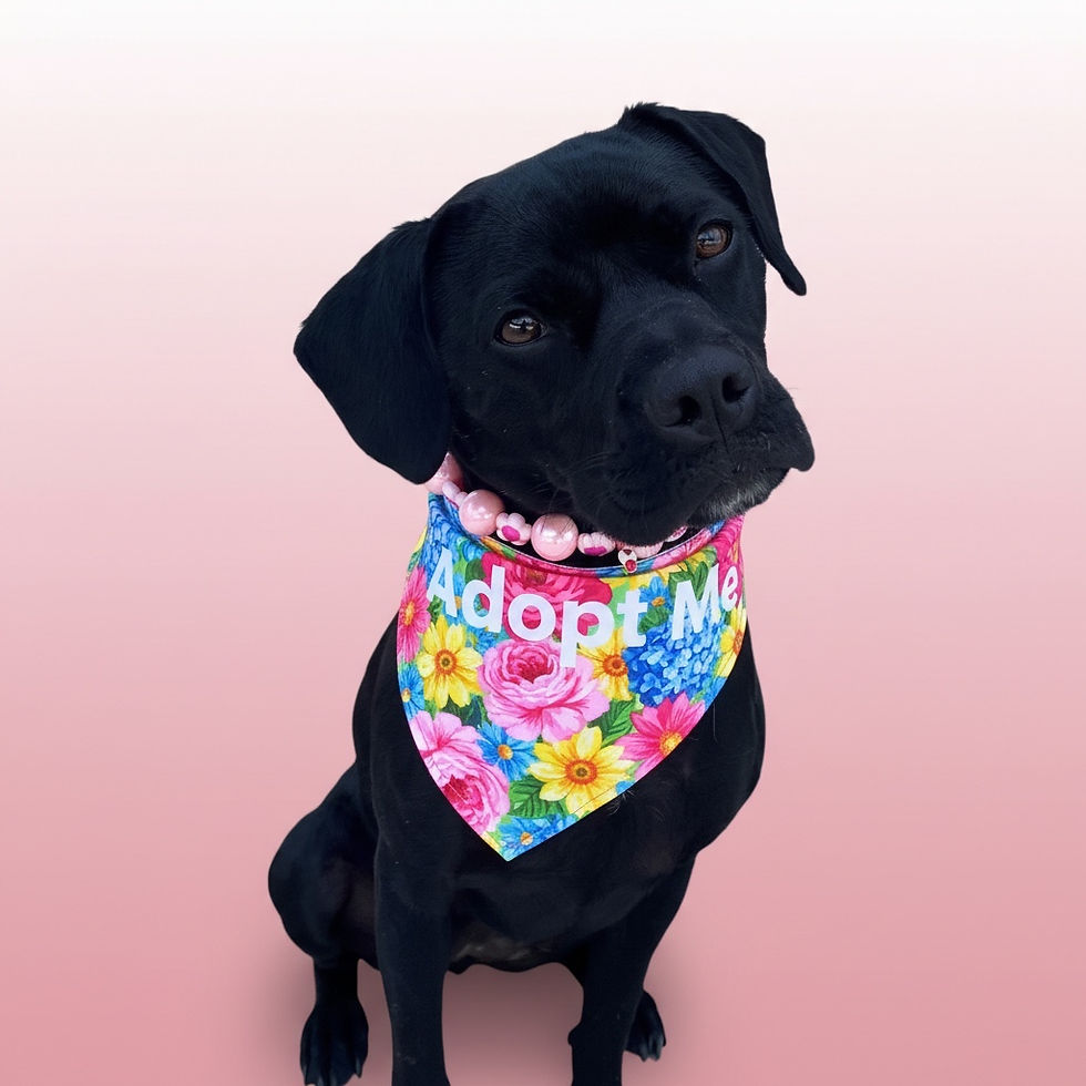 riley-4.jpg