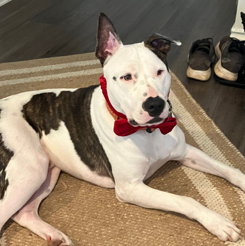 Screenshot 2026-02-18 150751.jpg