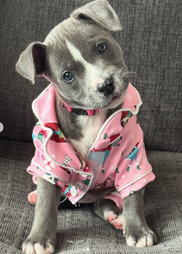 Screenshot 2025-11-29 172126.jpg