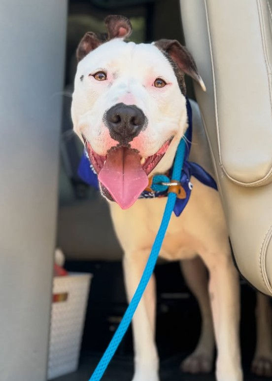 Screenshot 2026-03-05 142059.jpg