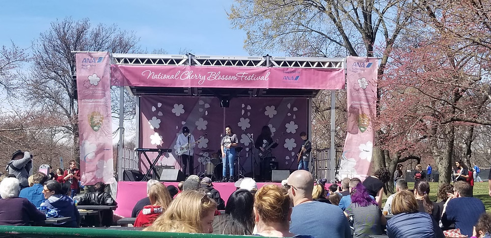 National Cherry Blossom Festival en el Tidal Basin en D.C.