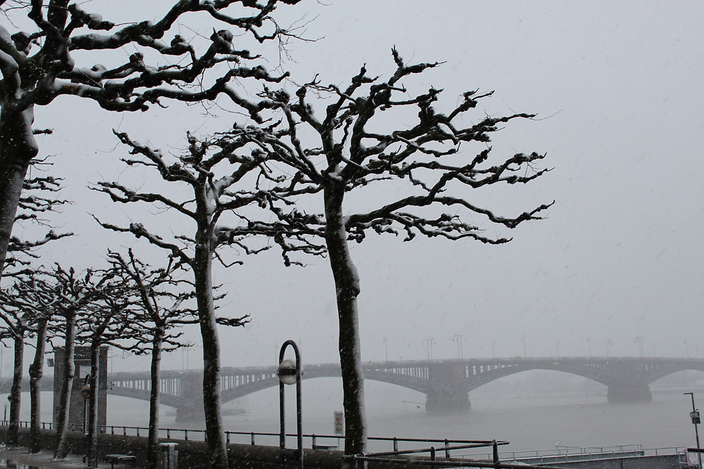 Invierno en la ciudad de Mainz.